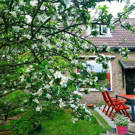 Huisjeaandedinkel Overdinkel Extérieur photo